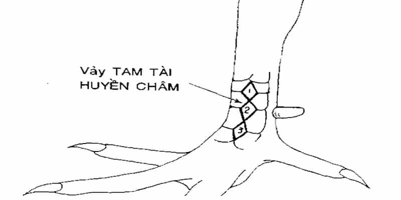 Vảy Huyền Châm luôn nằm trong top các loại vảy gà quý tại OK365